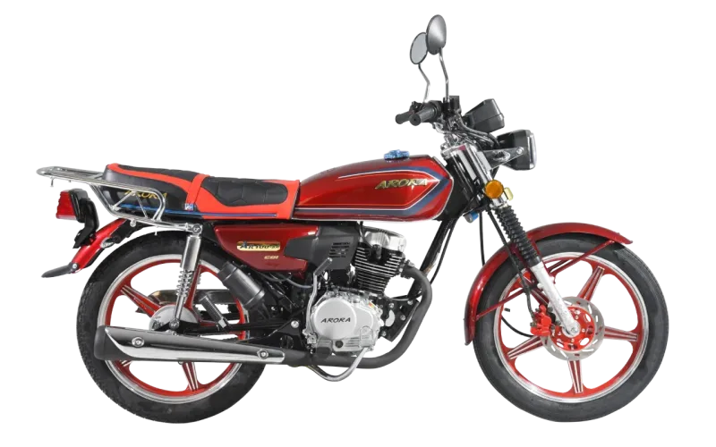 2026 Arora Cg 100 Motosiklet