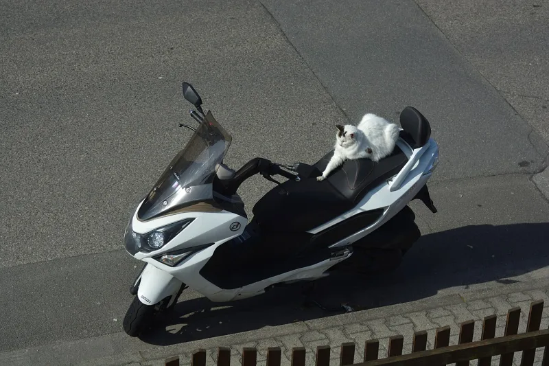 2011 Daelim S3 Motorcycle