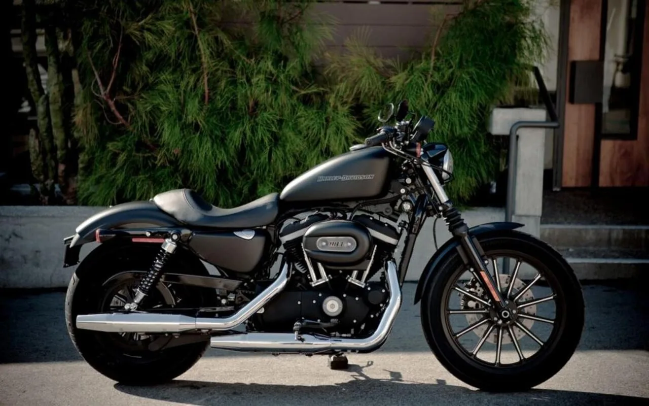 2019 Harley-Davidson Sportster Iron 883