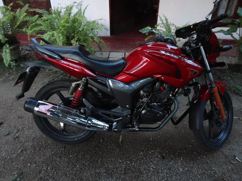 2008 Hero Honda Hunk