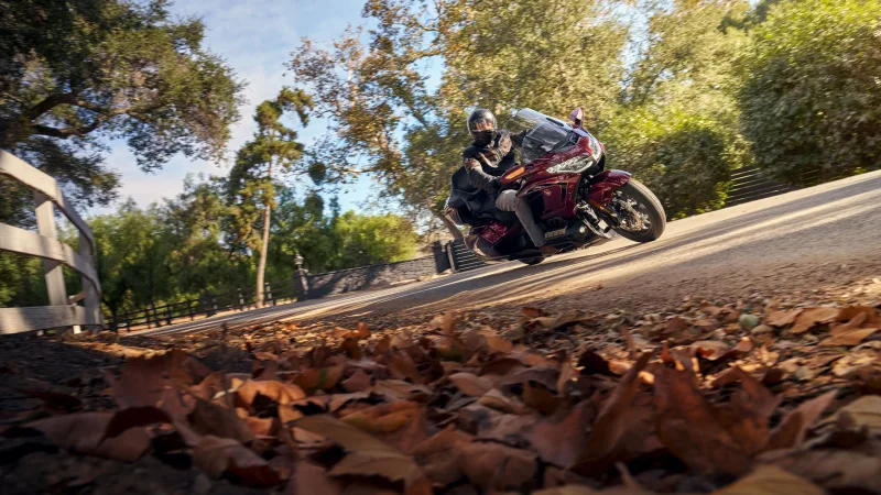 Honda GL 1800 Gold Wing Tour 2026