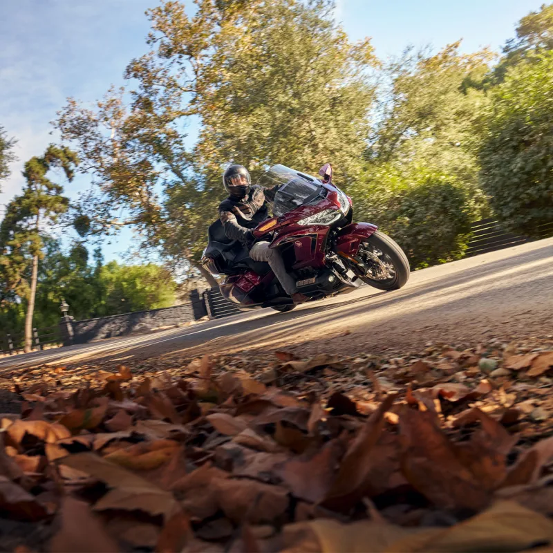 Honda GL 1800 Gold Wing Tour 2026