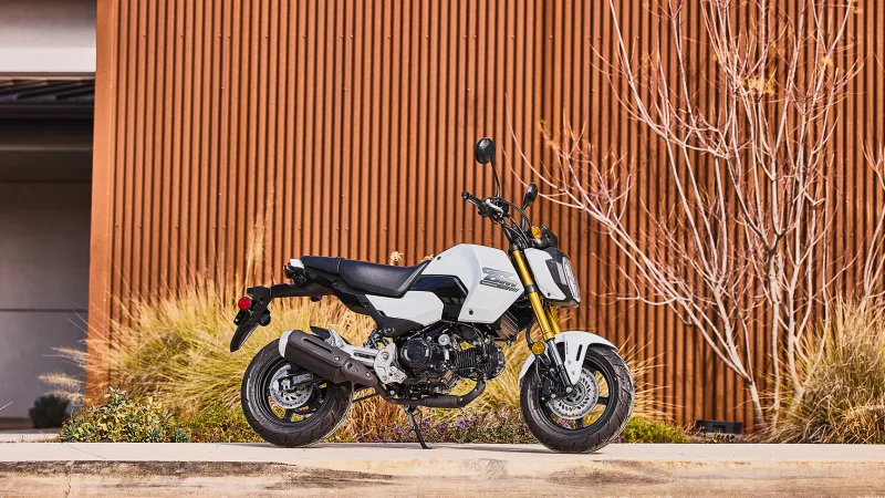 Honda MSX 125 2026
