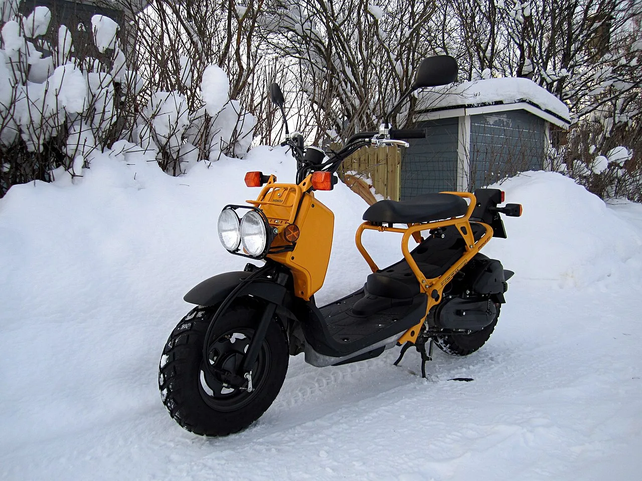 2025 Honda Ruckus