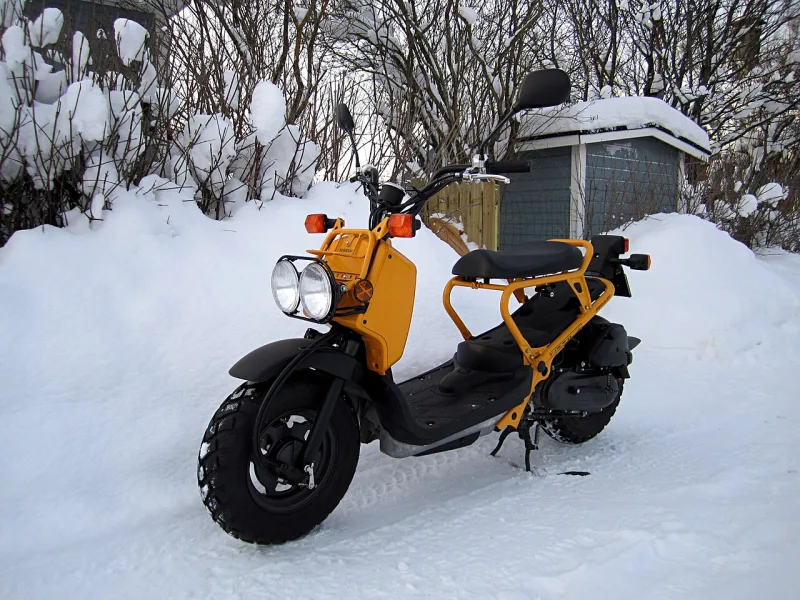 2025 Honda Ruckus