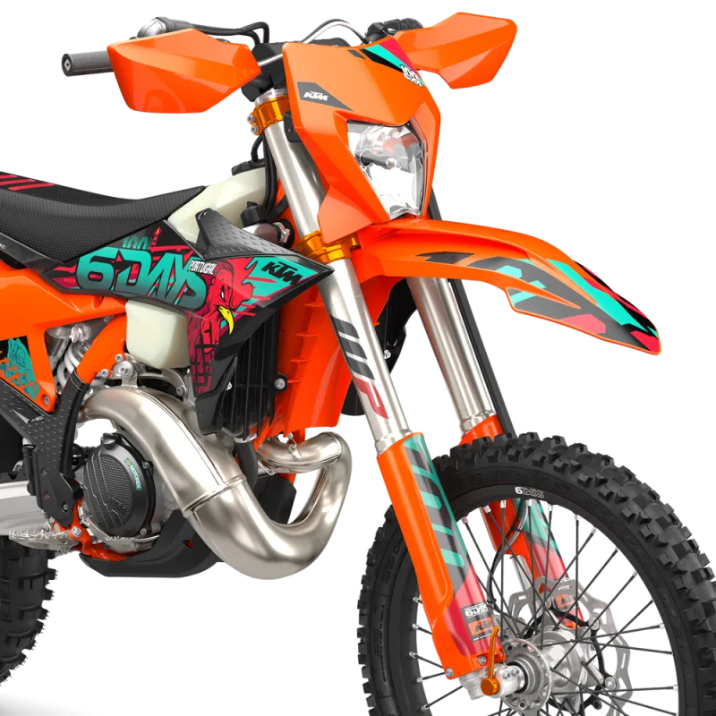 KTM 300 Exc 6Days 2026