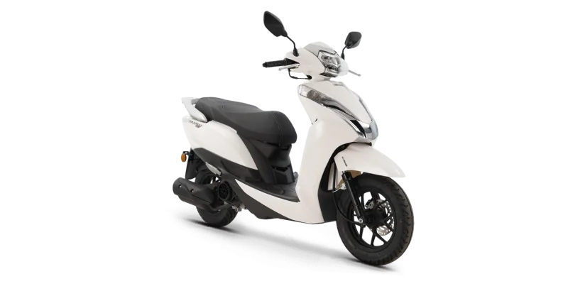 Kuba Borelli 50 2026
