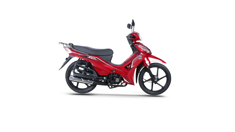 Kuba Ege 50 2026