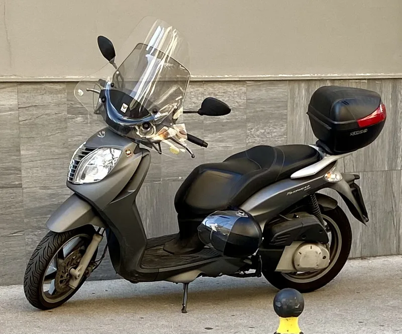 2010 Malaguti Password 250