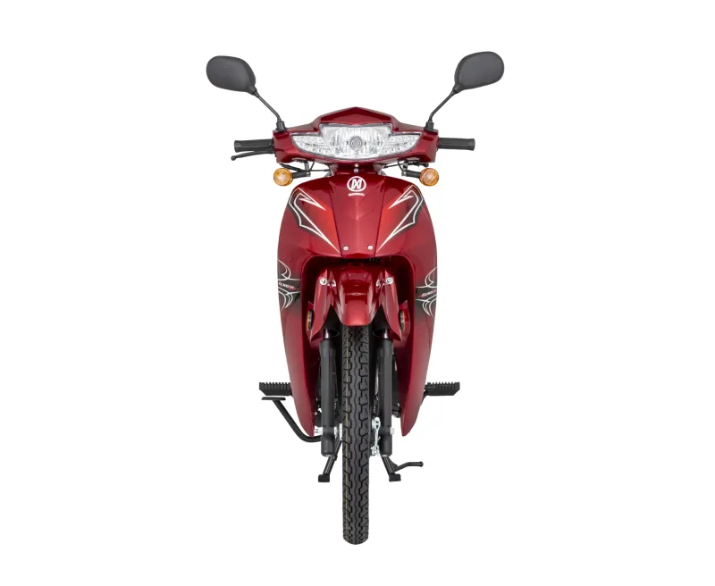 2026 Mondial SFC MINI 50ec Motorrad