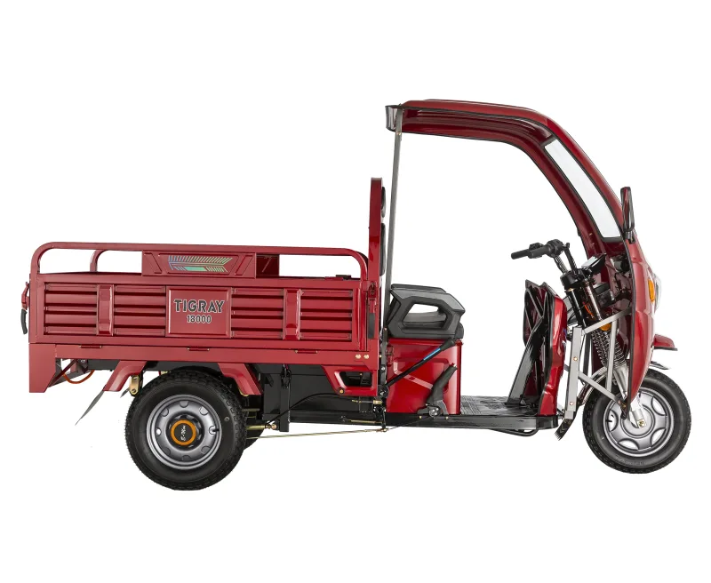 Mondial Tigray - K 2026
