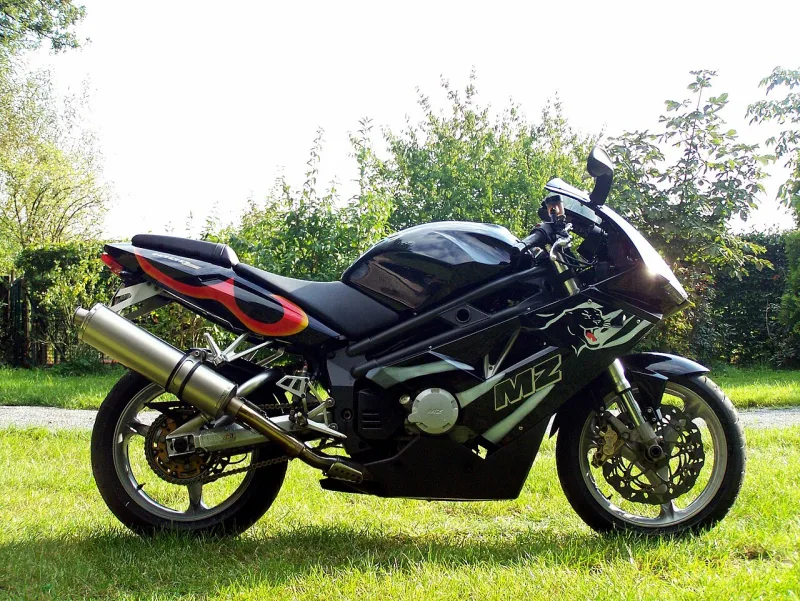 2009 MZ 1000 S