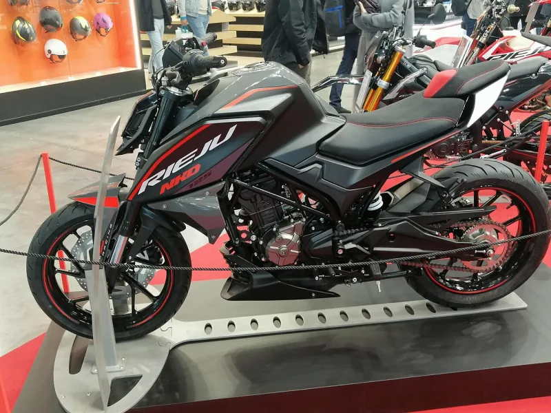 2010 Rieju NKD 125 Motosiklet