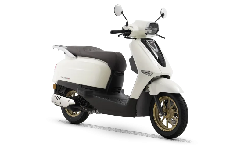 RKS PARMIDA 50 2026