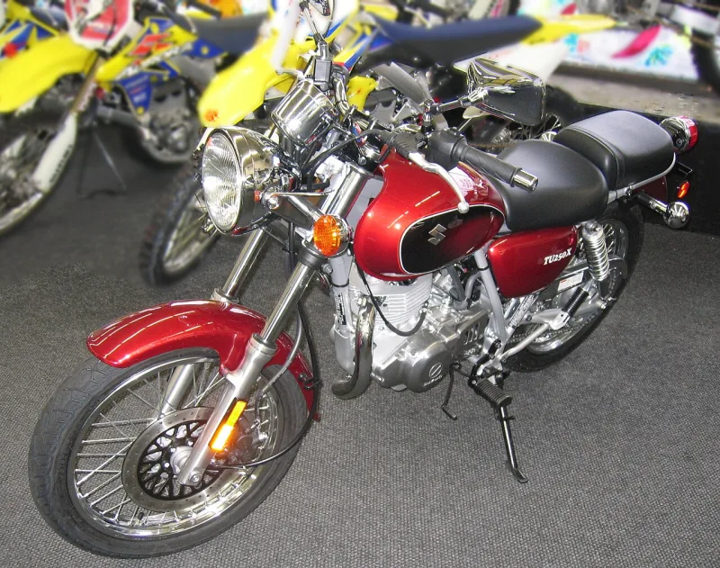 2019 Suzuki TU250X Motosiklet