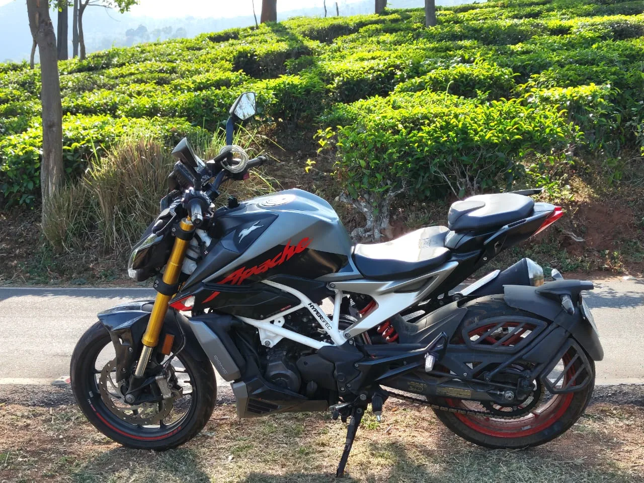 2026 TVS Apache RTR 310
