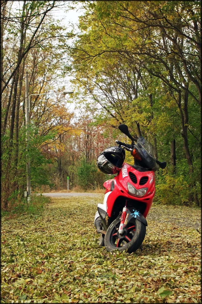 2005 Yamaha Aerox 50 Motosiklet