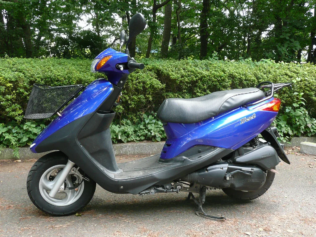 2018 Yamaha Axis Treet