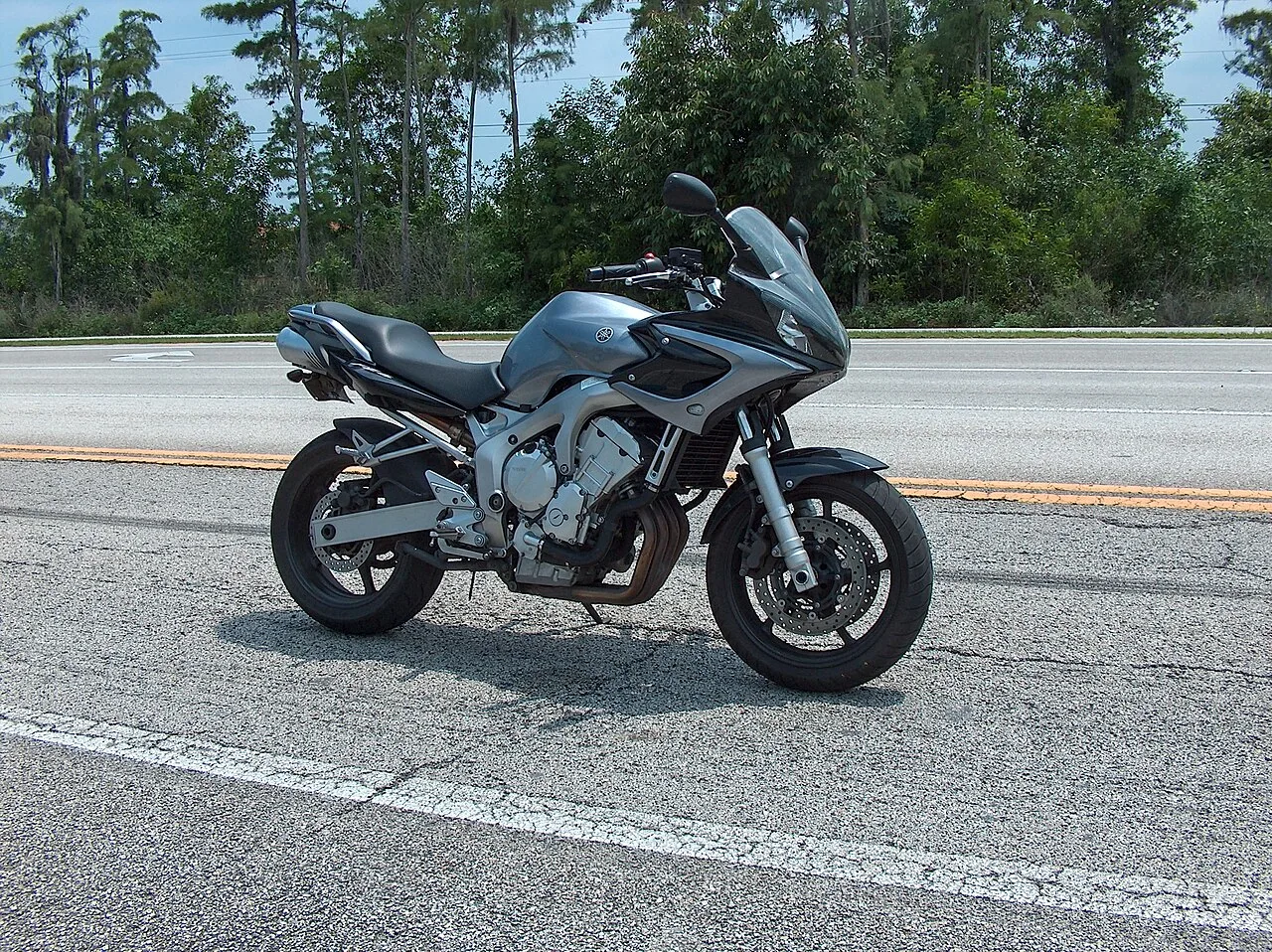 2010 Yamaha FZ6
