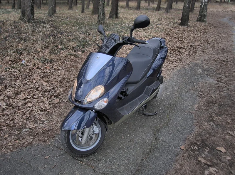 2009 Yamaha Majesty 125