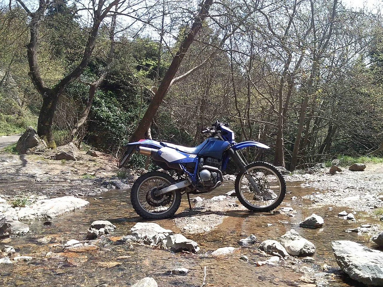 2007 Yamaha TTR250