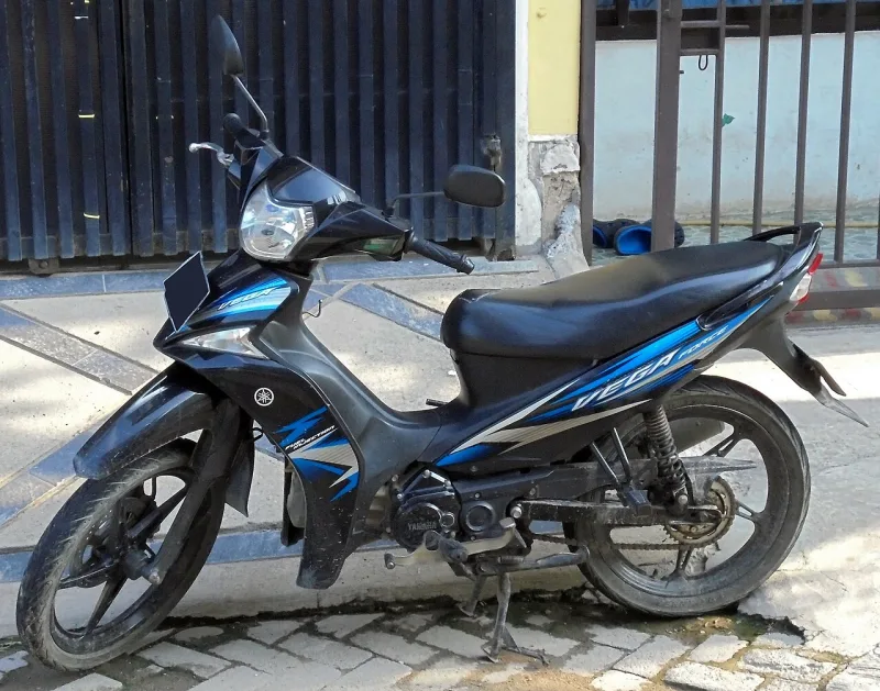 2023 Yamaha Vega Force